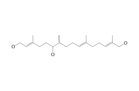 BOLETININ_B