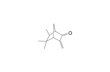 5,5,6-trimethyl-3-methylene-2-bicyclo[2.2.1]heptanone