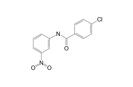 4-chloro-N-(3-nitrophenyl)benzamide