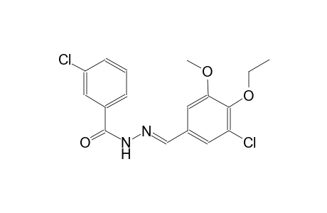 3-chloro-N'-[(E)-(3-chloro-4-ethoxy-5-methoxyphenyl)methylidene]benzohydrazide