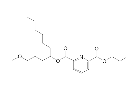 2,6-Pyridinedicarboxylic acid, isobutyl 1-methoxydec-4-yl ester