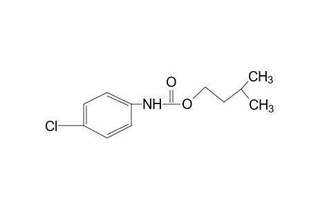 p-chlorocarbanilic acid, isopentyl ester