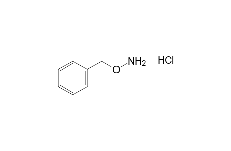 O-Benzylhydroxylamine hydrochloride