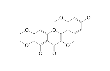 Chrysosplin