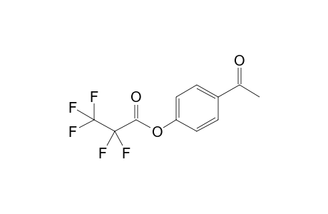 4-Acetylphenyl 2,2,3,3,3-pentafluoropropanoate