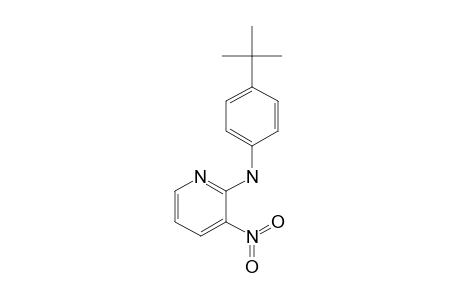 2-(p-tert-BUTYLANILINO)-3-NITROPYRIDINE