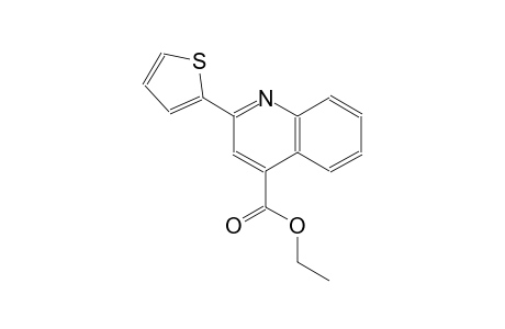 4-quinolinecarboxylic acid, 2-(2-thienyl)-, ethyl ester