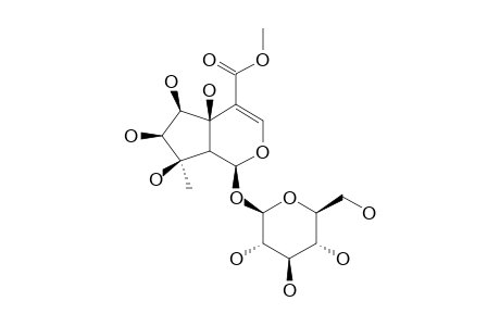 Phlomiol