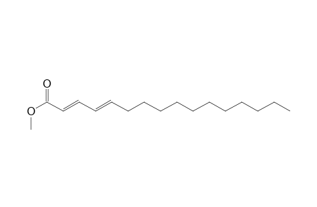 Methyl hexadeca-2,4-dienoate