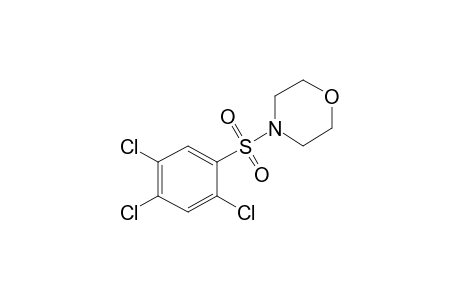 4-[(2,4,5-TRICHLOROPHENYL)SULFONYL]MORPHOLINE
