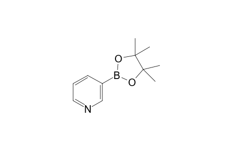 3-(4,4,5,5-Tetramethyl-1,3,2-dioxaborolan-2-yl)pyridine