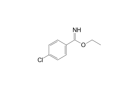 4-Chloro-benzimidic acid ethyl ester
