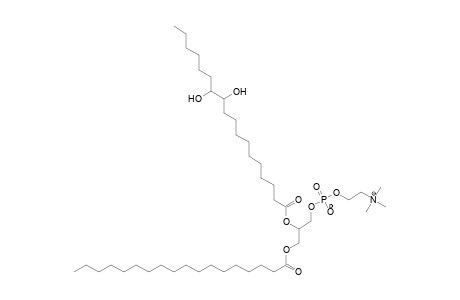 PC 18:0_18:0;2O