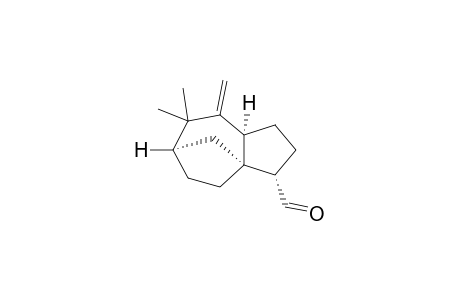 ZIZA-6(13)-EN-12-AL