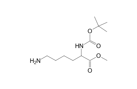 N(A)-T-Butoxycarbonyl-L-lysine methyl ester