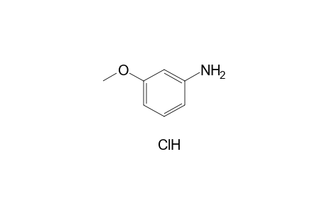 m-anisidine, hydochloride