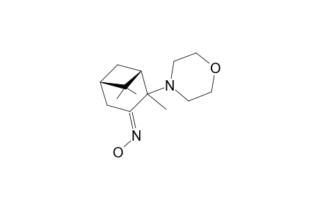 2-MORPHOLINO-ALPHA-PINENE-3-OXIME