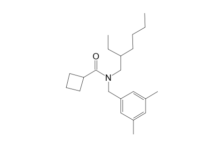 Cyclobutanecarboxamide, N-(3,5-dimethylbenzyl)-N-(2-ethylhexyl)-