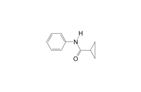 N-phenylcyclopropanecarboxamide