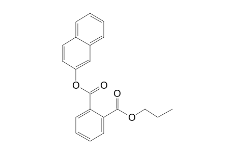 Phthalic acid, 2-naphthyl propyl ester