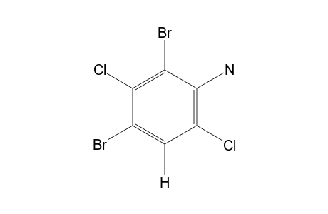 2,4-dibromo-3,6-dichloroaniline