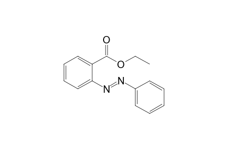 Benzoic acid, 2-(phenylazo)-, ethyl ester