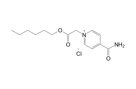4-carbamoyl-1-(carboxymethyl)pyridinium chloride, hexyl ester