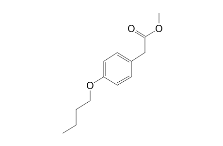 (p-butoxyphenyl)acetic acid, methyl ester