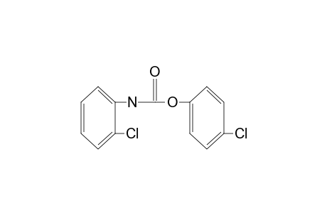 o-chlorocarbanilic acid, p-chlorophenyl ester