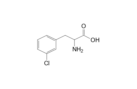 2-Amino-3-(3-chlorophenyl)propionic acid