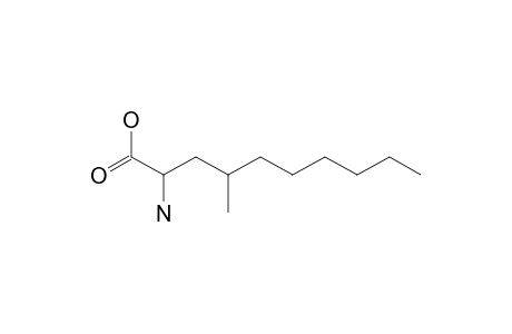 2-AMINO-4-METHYLDECANOIC_ACID;AMD