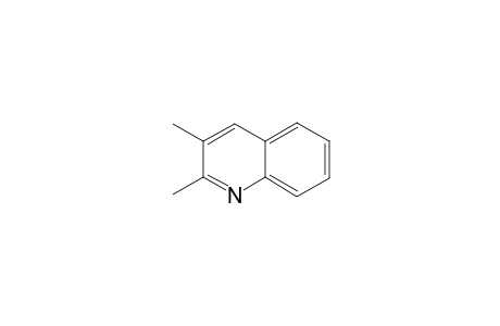 2,3-Dimethyl-quinoline