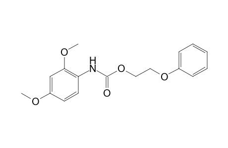 Benzoic acid, (2,4-dimethoxyphenyl)carbamic acid 2-phenoxyethyl ester