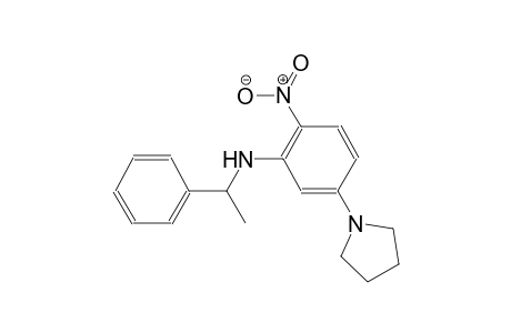 benzenemethanamine, alpha-methyl-N-[2-nitro-5-(1-pyrrolidinyl)phenyl]-