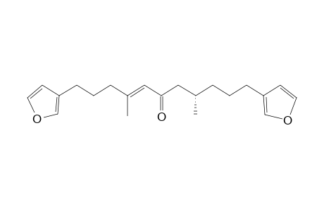 CACOSPONGIENONE B