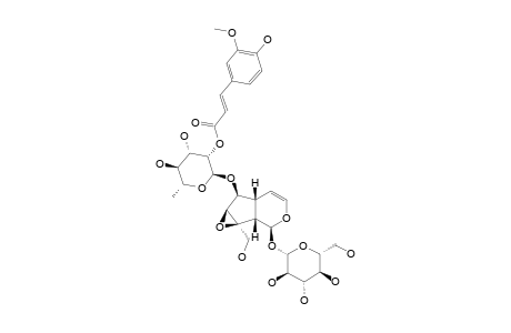 SCROPOLIOSIDE-H;6-O-ALPHA-L-(2''-O-FERULOYL)-RHAMNOPYRANOSYL-CATALPOL