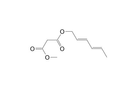 Propanedioic acid, 2,4-hexadienyl methyl ester, (E,E)-