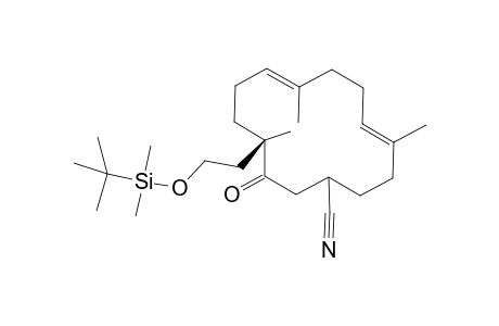 12-[2-(Butyldimethylsiloxy)ethyl)-4,8,12-trimethyl-13-oxocyclotetradeca-4,8-dienecarbonitrile isomer