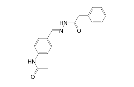 benzeneacetic acid, 2-[(E)-[4-(acetylamino)phenyl]methylidene]hydrazide