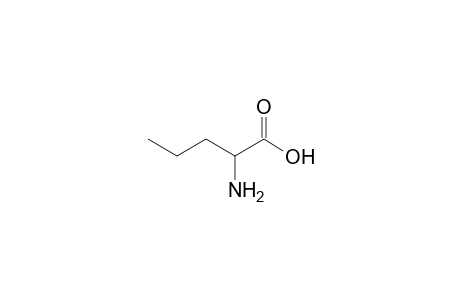 norvaline