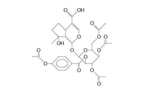 2'-(4-Hydroxy-benzoyl)-mussaenosidic acid, tetraacetate