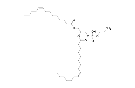 PE 14:1_16:2