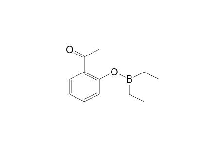2-Acetylphenyl diethylborinate