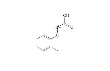 2,3-xylyloxyacetic acid