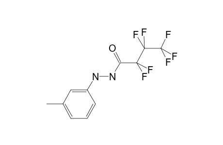 Butanoic acid, 2,2,3,3,4,4,4-heptafluoro-, N'-(3-methylphenyl)hydrazide