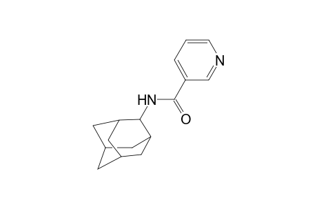 N-(2-adamantyl)nicotinamide