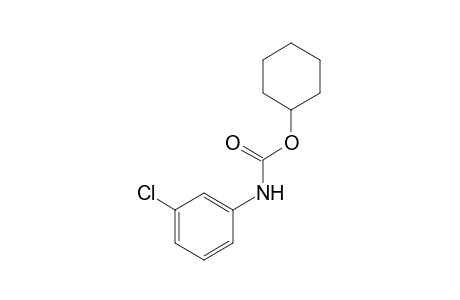 m-chlorocarbanilic acid, cyclohexyl ester