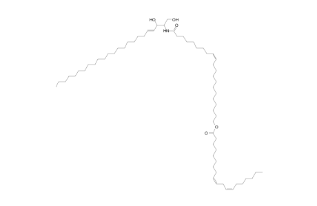 Cer 24:1;2O/21:1;O(FA 19:2)