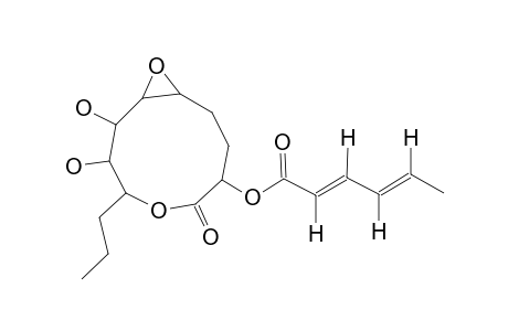 5,6-EPOXY-PINOLIDOXIN;2-(2,4-HEXADIENOYLOXY)-5,6-EPOXY-7,8-DIHYDROXY-9-PROPYLNONAN-9-OLIDE