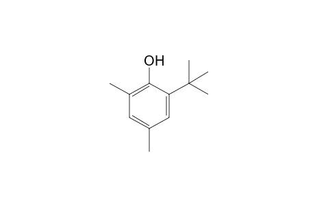 6-tert-Butyl-2,4-xylenol